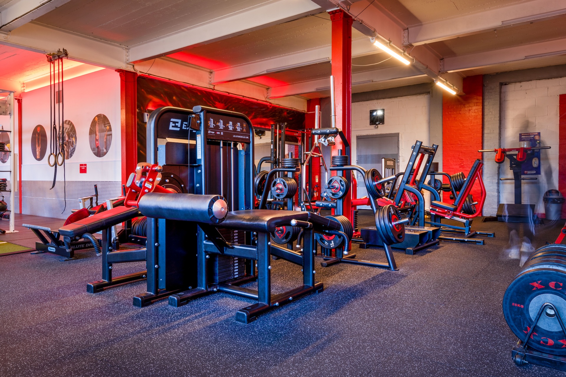Gym filled with weight machines and free weights under warm lighting.